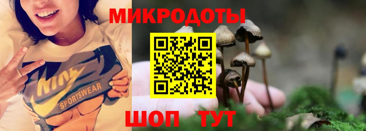 Псилоцибиновые грибы MAGIC MUSHROOMS Карпинск